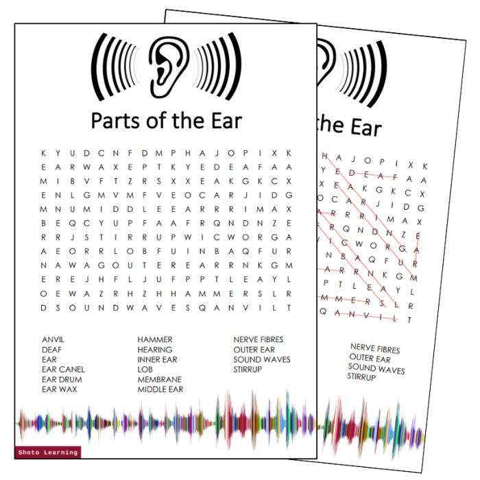 Ears eyes worksheet crossword quickworksheets