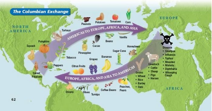 Columbian exchange definition ap human geography