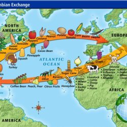 Exchange columbian map plants crops old flow america history animals important exploration age period transfer brainpop chart between multi perfection