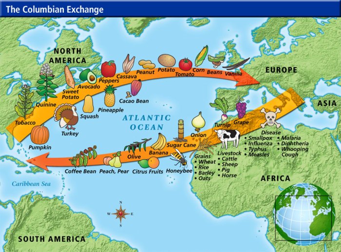 Exchange columbian map plants crops old flow america history animals important exploration age period transfer brainpop chart between multi perfection