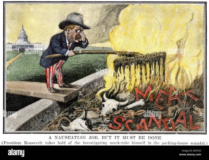 Roosevelt cartoon muckraker theodore president muckrakers cleaning apush meat political scandal 1890 alamy stock 1945 period shopping cart timetoast amelioration