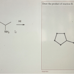 Formed ammonium salt draw reaction each sapling learning hci ch2 h3 nh2 ch hi ch3 chs answer check previous next