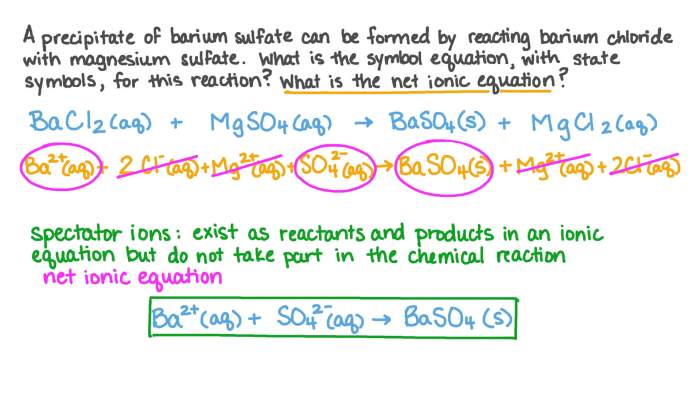 Net ionic equation for sodium sulfate and barium chloride